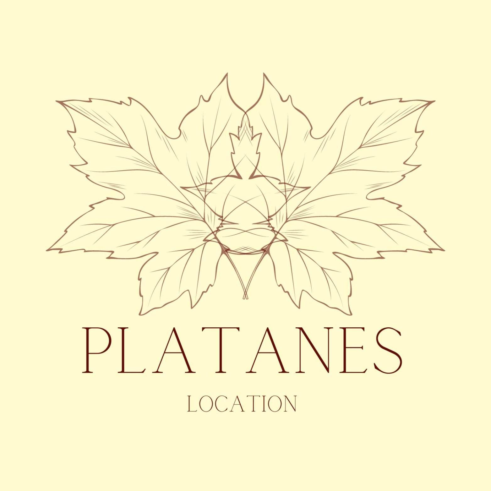 Hotel Platanes - Kb Hotel Group Etauliers Екстер'єр фото